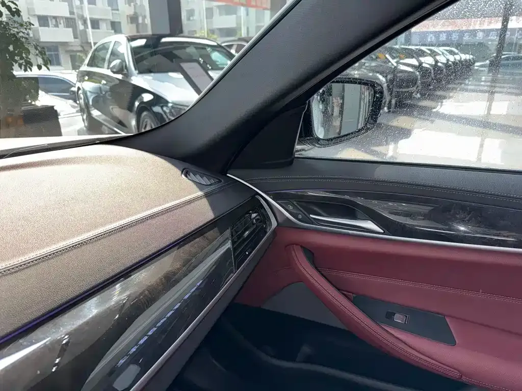 BMW 5 Series 2021 из CN, фото 4