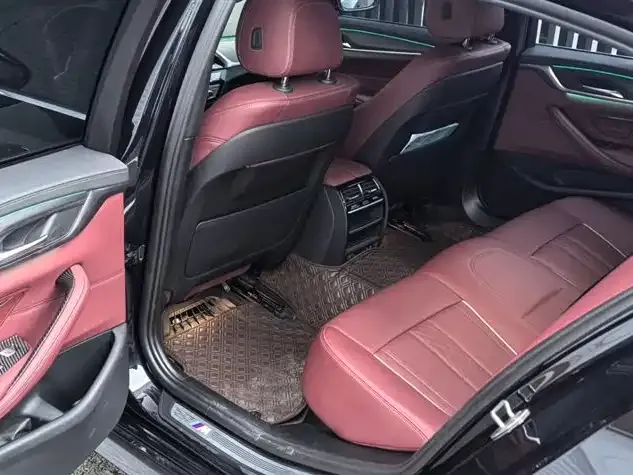 BMW 5 Series New Energy 2022 из CN, фото 4