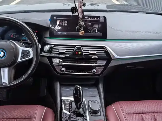 BMW 5 Series New Energy 2022 из CN, фото 7
