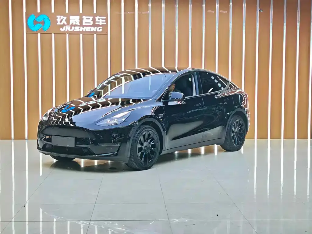 Tesla Model Y 2021 из CN, фото 1