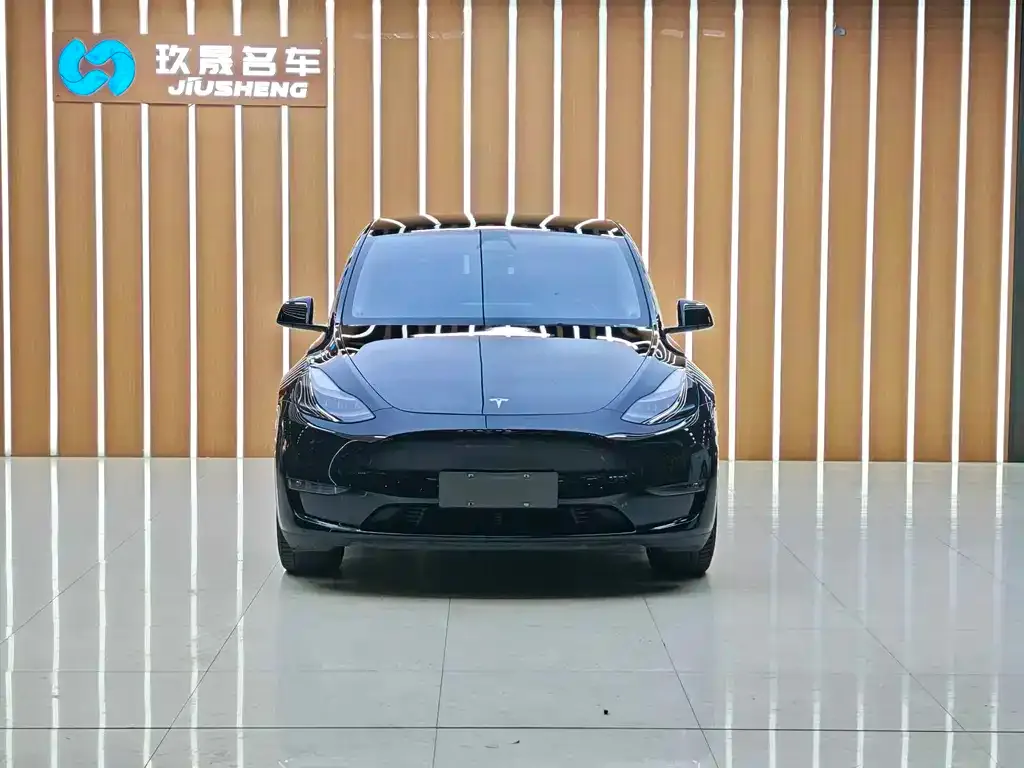Tesla Model Y 2021 из CN, фото 6