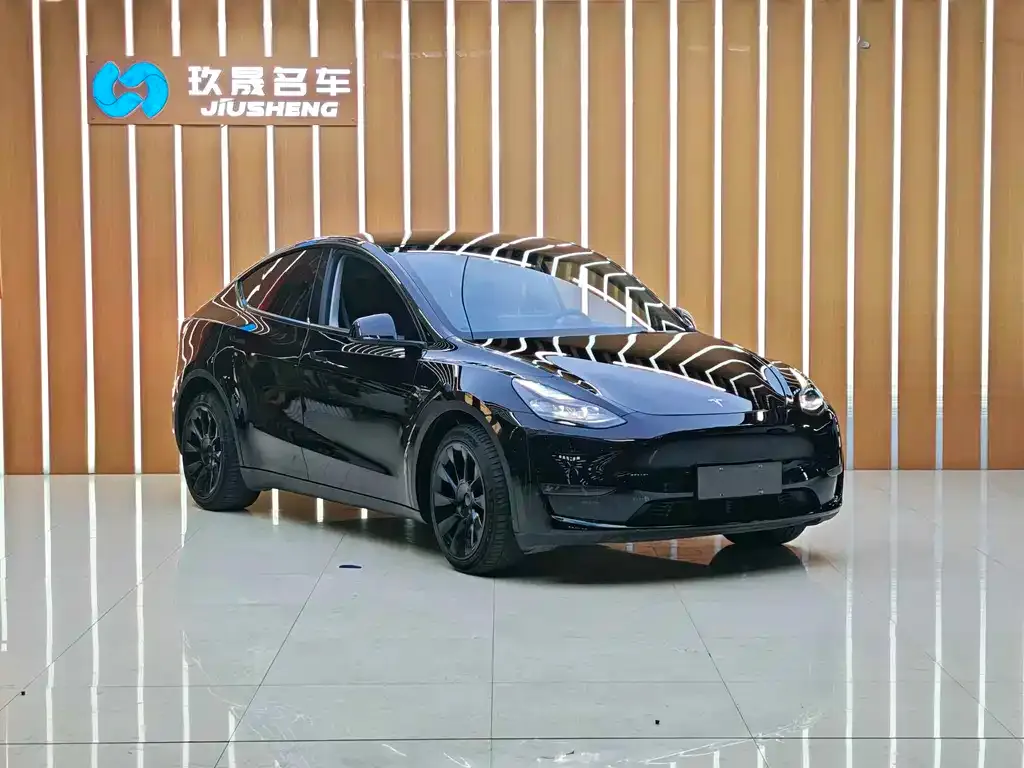 Tesla Model Y 2021 из CN, фото 9