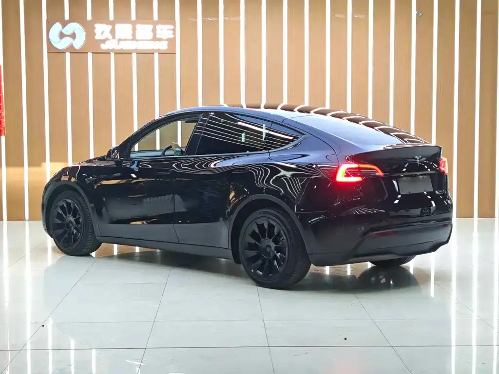 Tesla Model Y 2021 из CN, фото 3