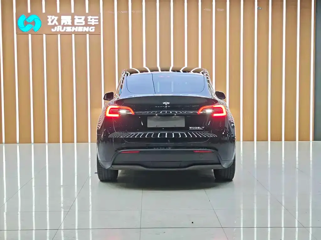 Tesla Model Y 2021 из CN, фото 4