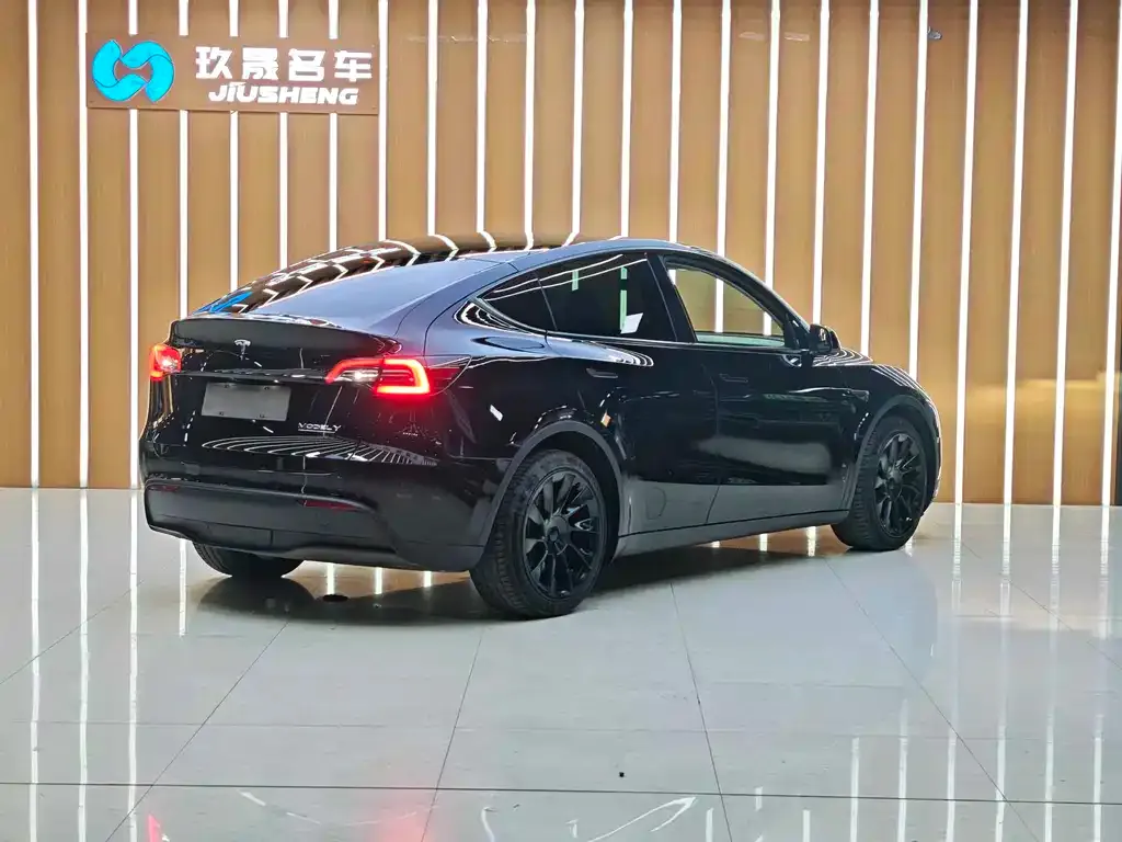 Tesla Model Y 2021 из CN, фото 8