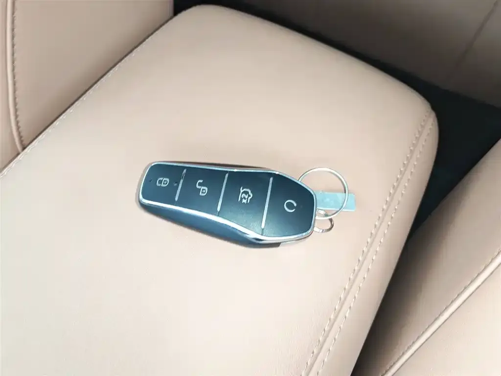 BYD L EV 2025 из CN, фото 3