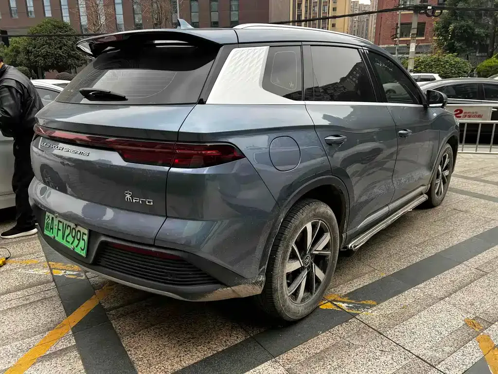 BYD Pro New Energy 2024 из CN, фото 3