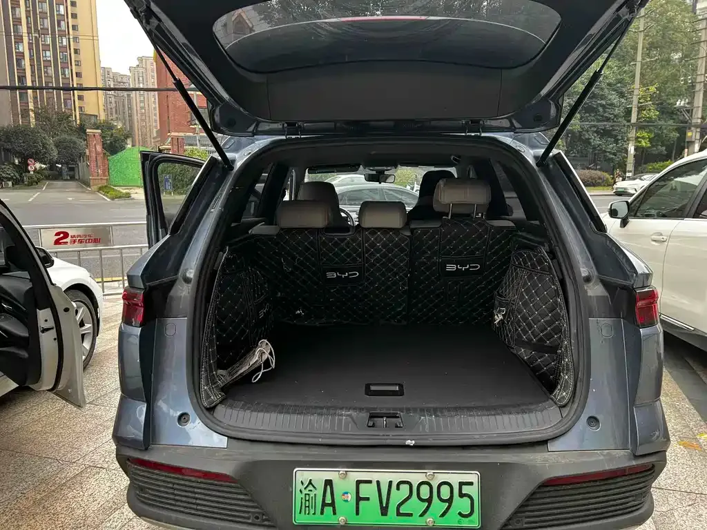 BYD Pro New Energy 2024 из CN, фото 9