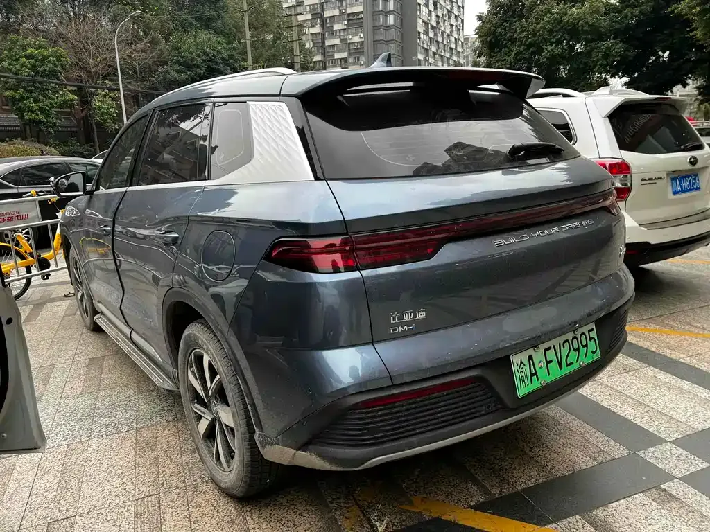 BYD Pro New Energy 2024 из CN, фото 8