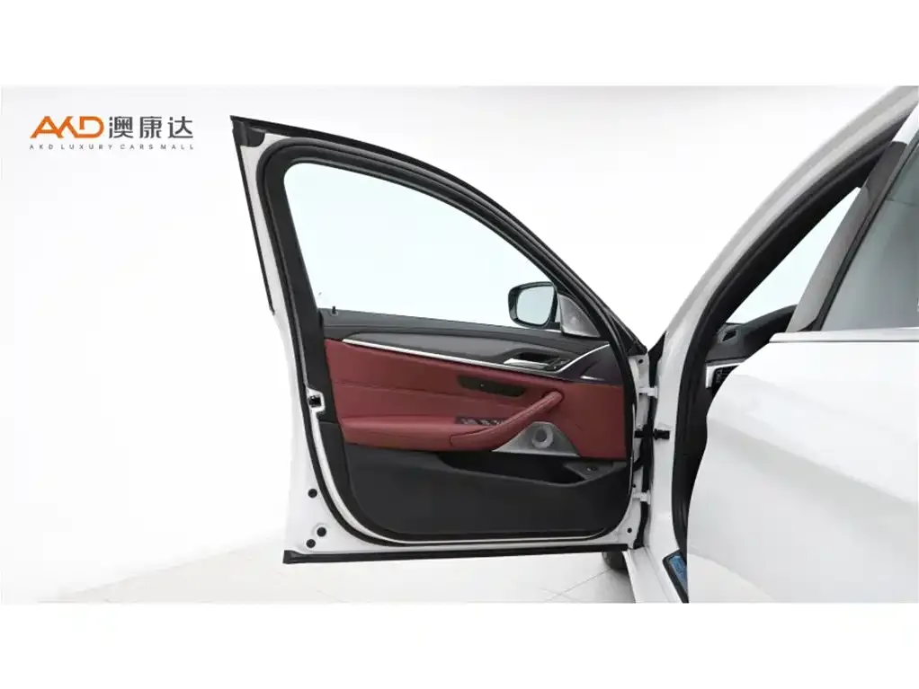 BMW 5 Series 2022 из CN, фото 9