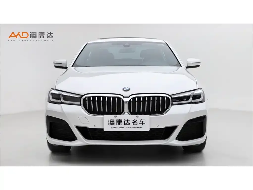 BMW 5 Series 2022 из CN, фото 2
