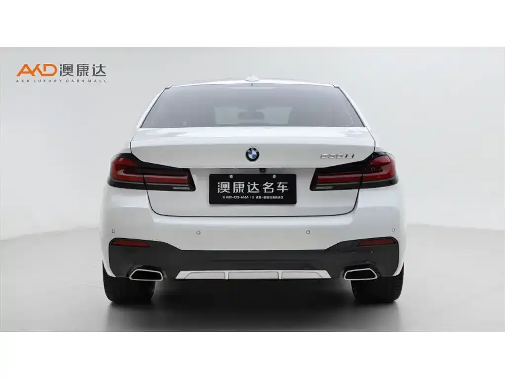 BMW 5 Series 2022 из CN, фото 7