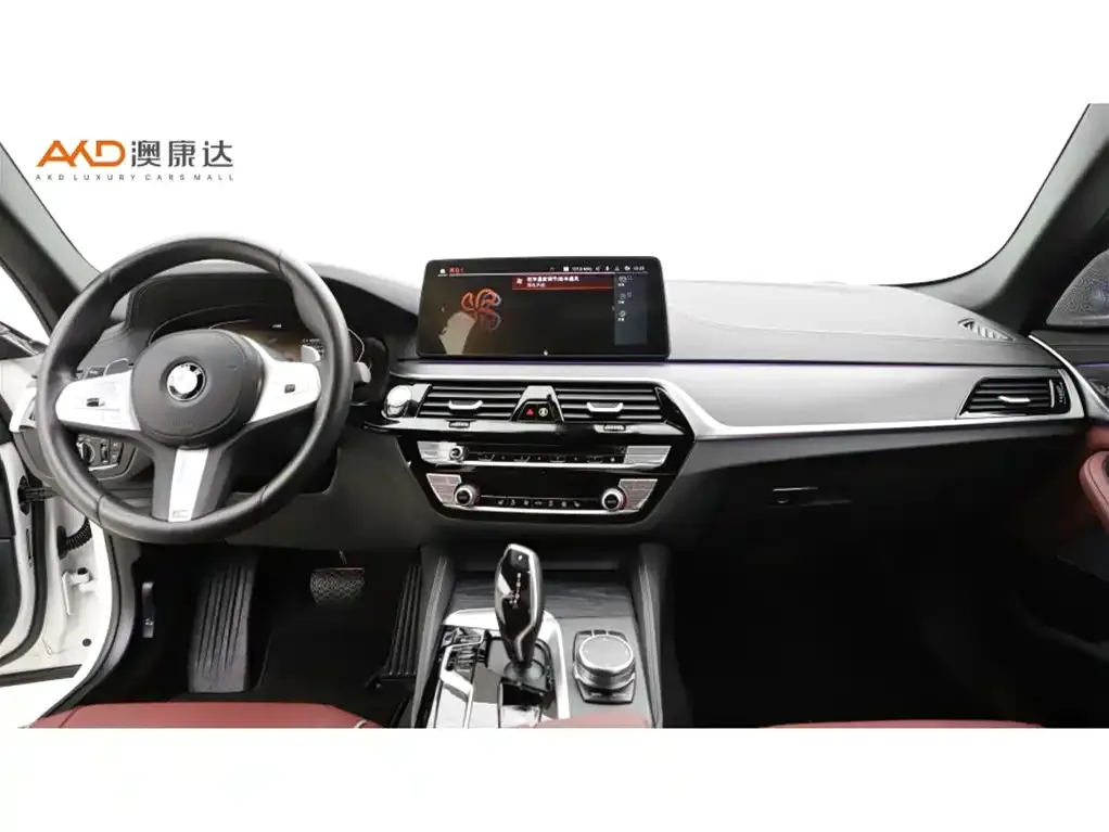 BMW 5 Series 2022 из CN, фото 4