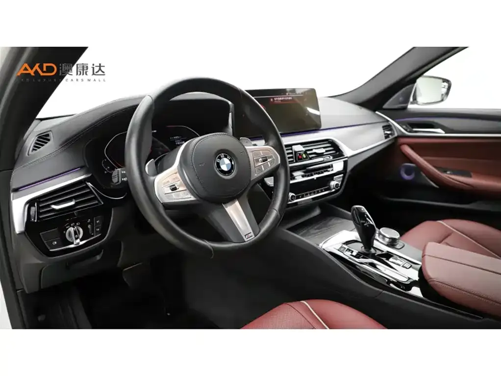 BMW 5 Series 2022 из CN, фото 8