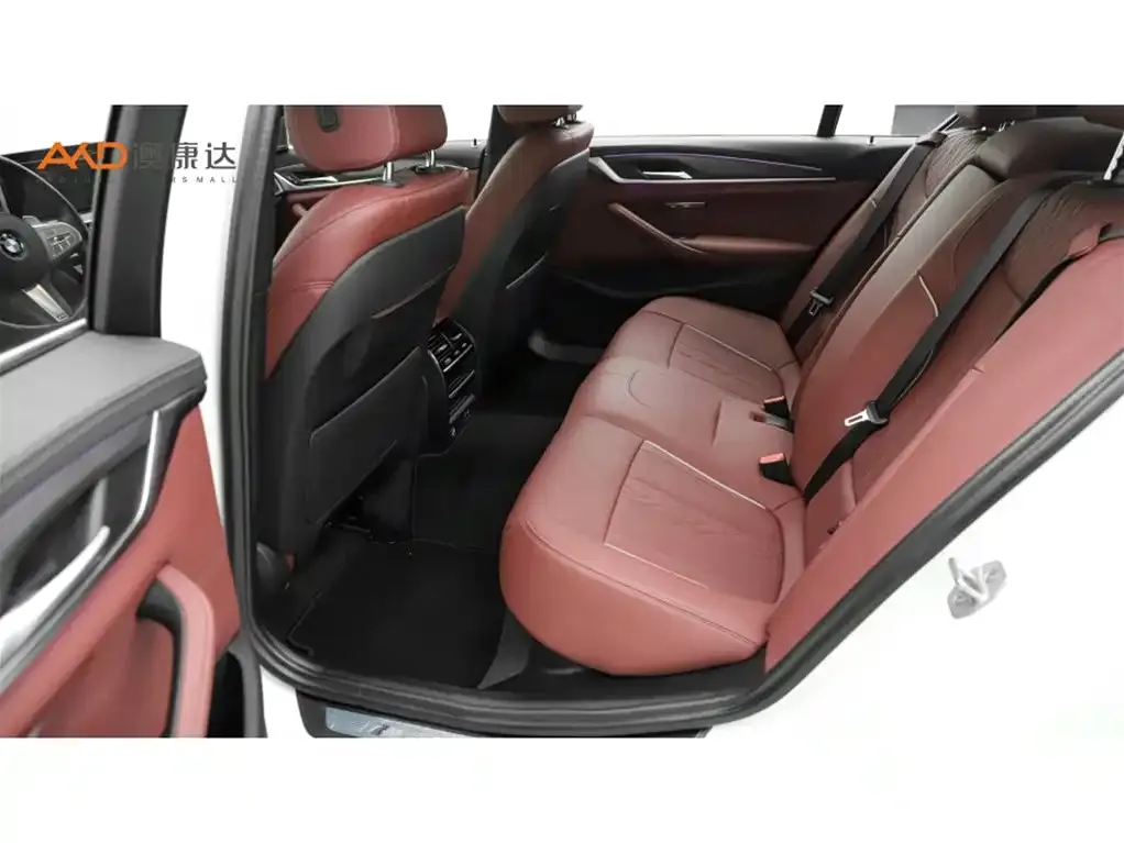 BMW 5 Series 2022 из CN, фото 5