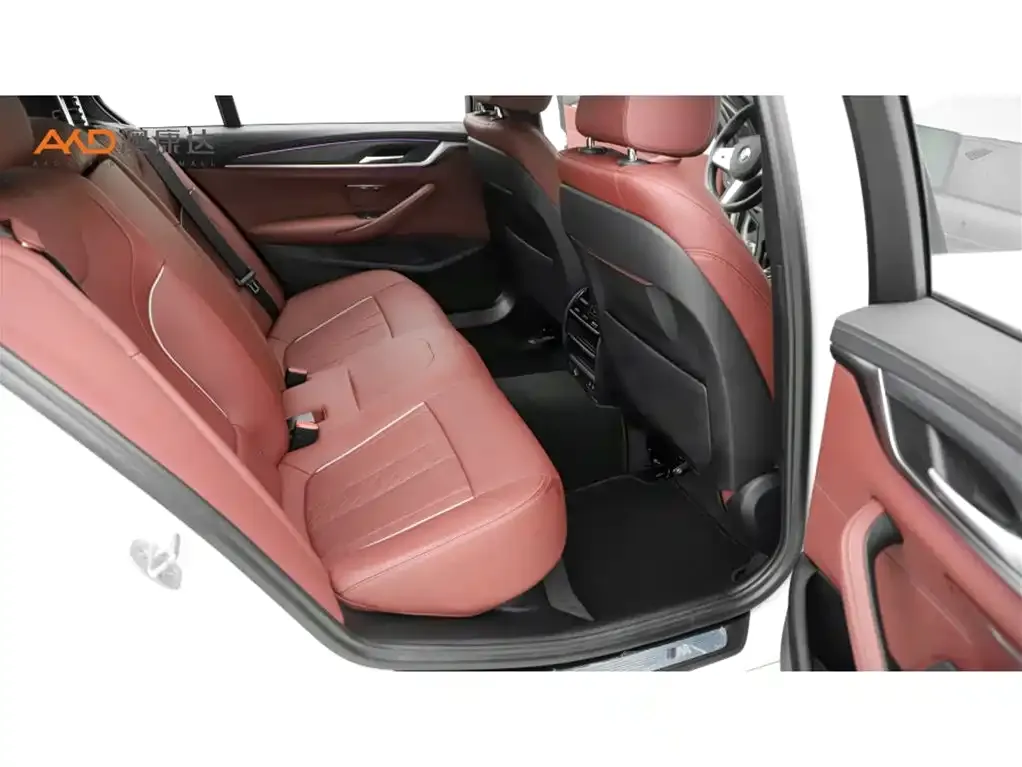 BMW 5 Series 2022 из CN, фото 10