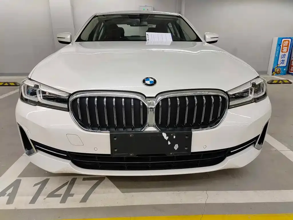 BMW 5 Series 2024 из CN, фото 6