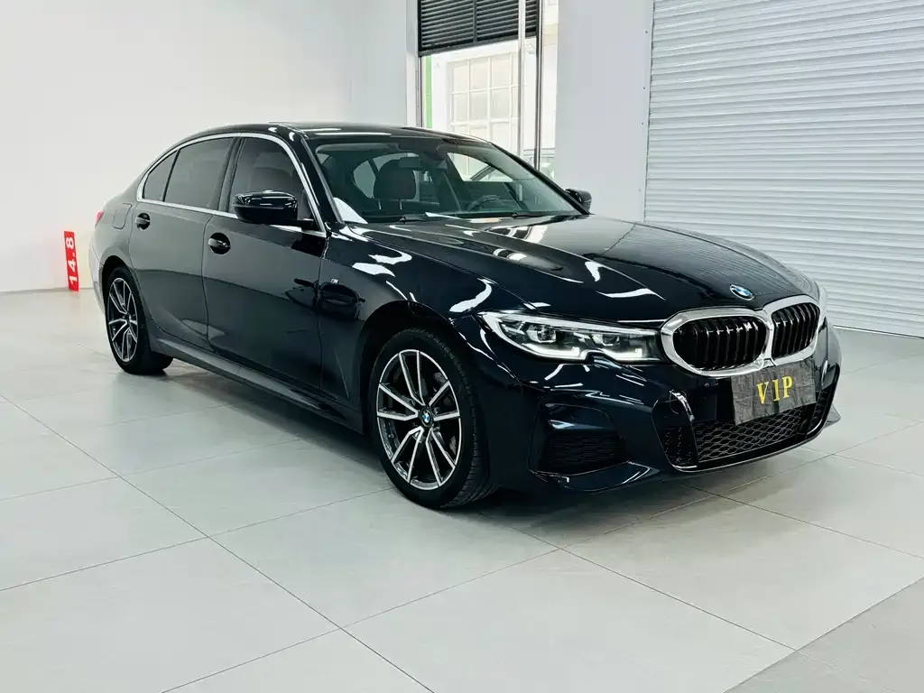 BMW 3 Series 2021 из CN, фото 9