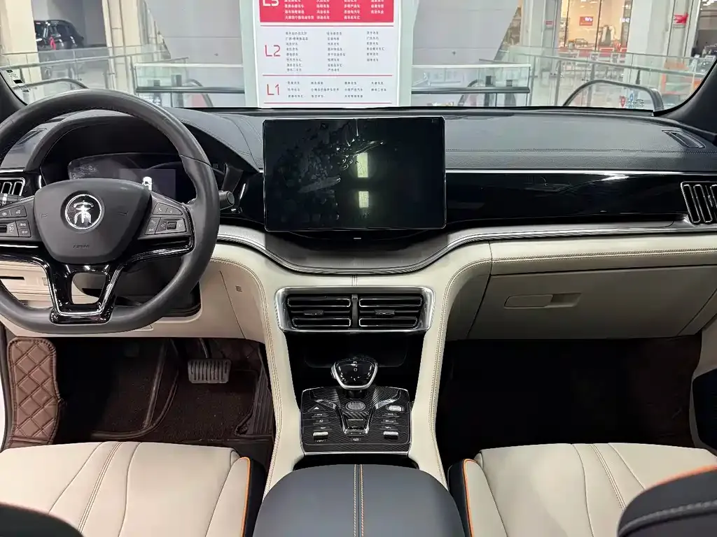 BYD PLUS New Energy 2022 из CN, фото 9