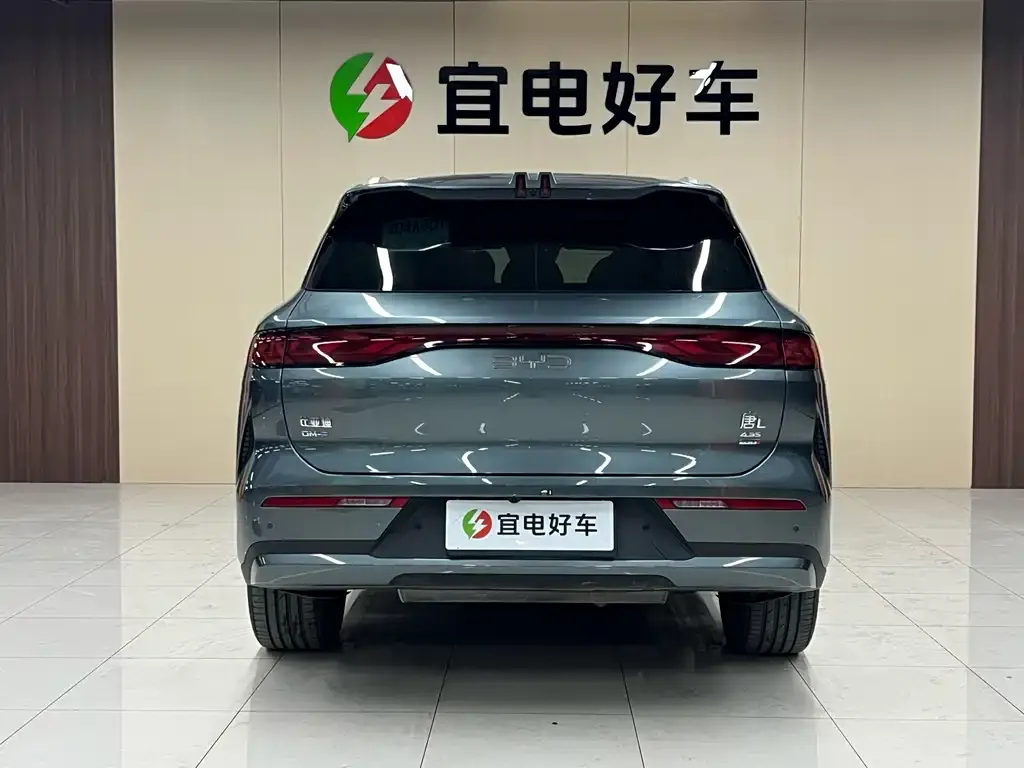 BYD Tang L — фото 2