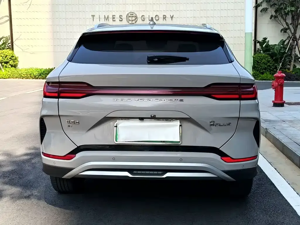 BYD PLUS New Energy 2023 из CN, фото 5