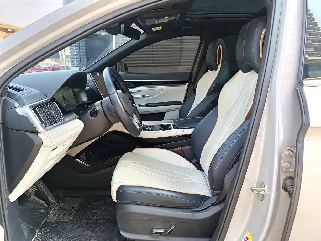 BYD PLUS New Energy 2023 из CN, фото 6
