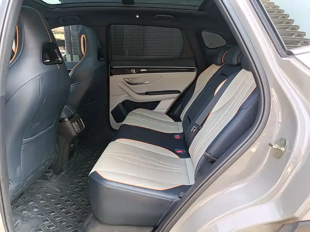 BYD PLUS New Energy 2023 из CN, фото 3