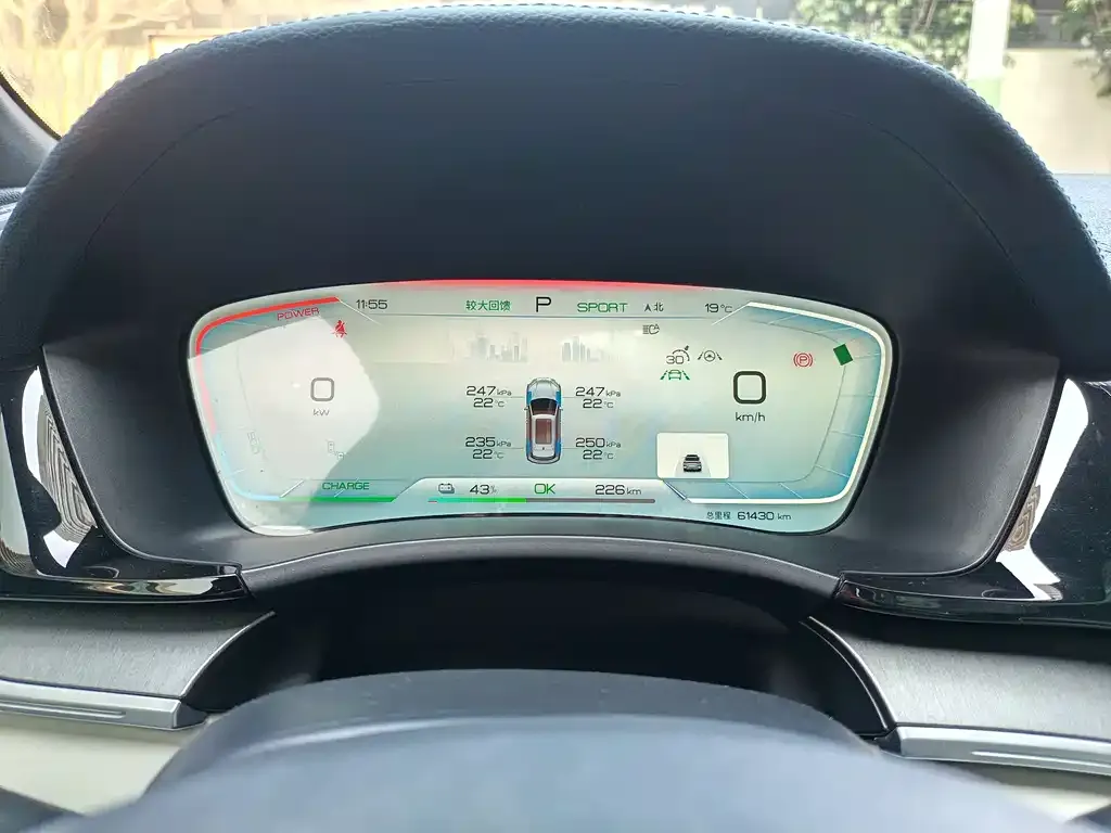BYD PLUS New Energy 2023 из CN, фото 2