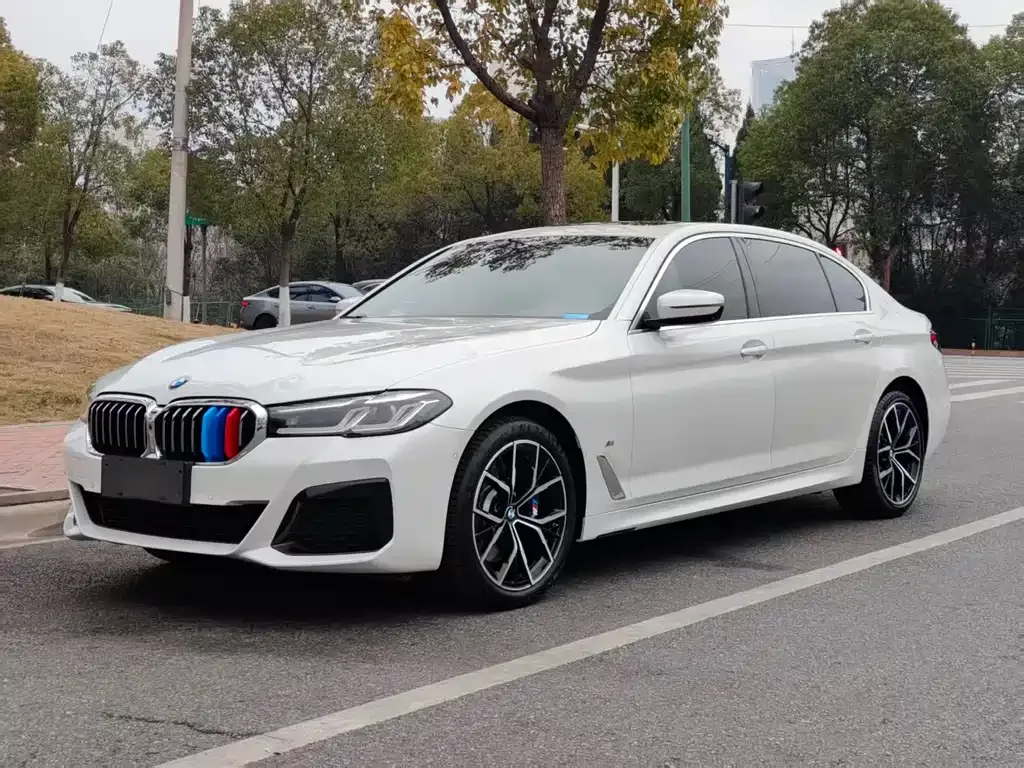 BMW 5 Series 2022 из CN, фото 8