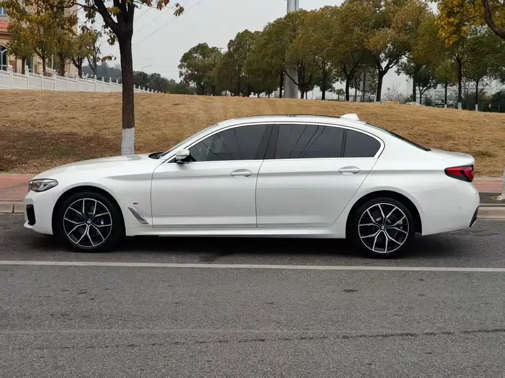 BMW 5 Series 2022 из CN, фото 9