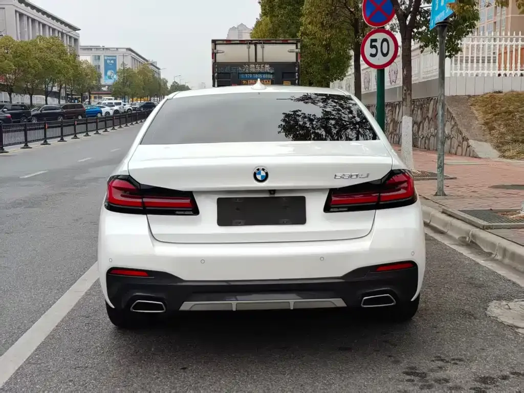 BMW 5 Series 2022 из CN, фото 7