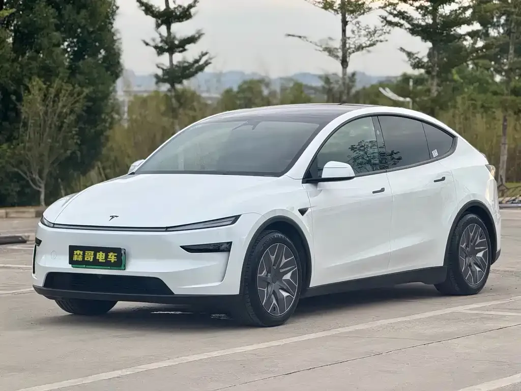Tesla Model Y L — фото 1