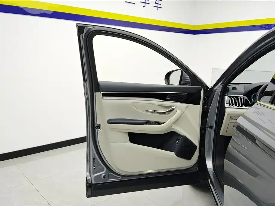 BYD PLUS New Energy — фото 6