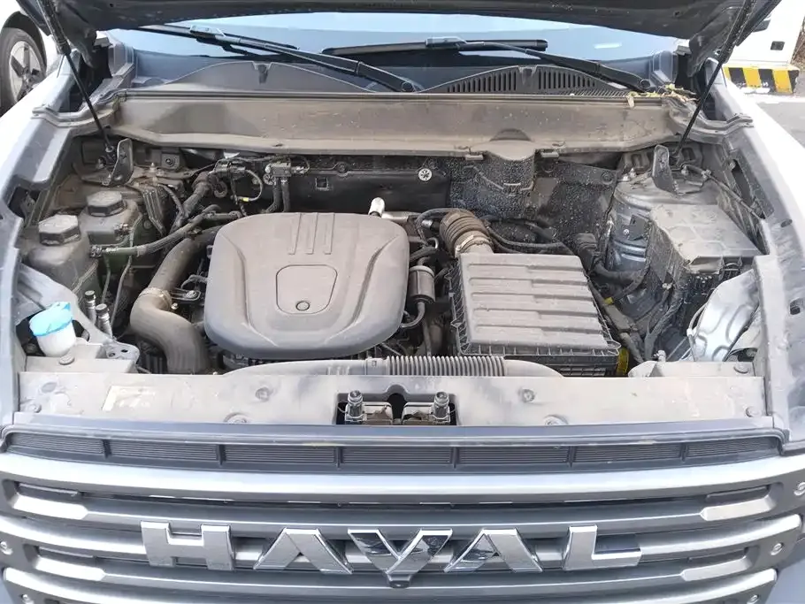 Haval Menglong New Energy — фото 10