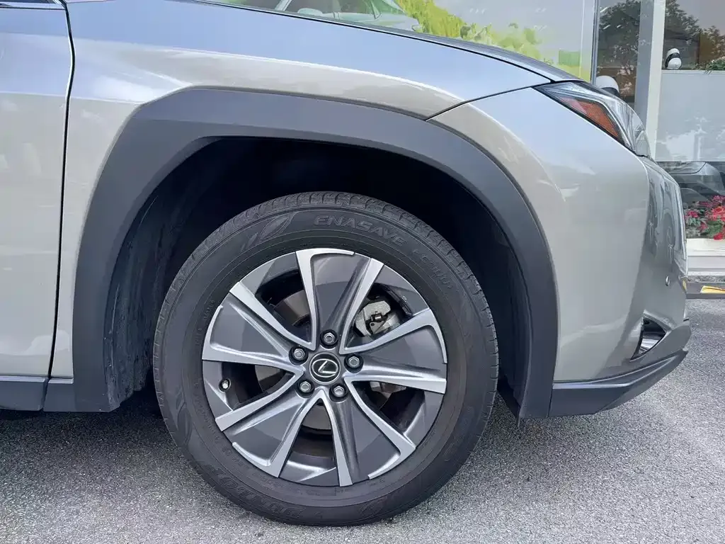 Lexus UX New Energy 2023 из CN, фото 8
