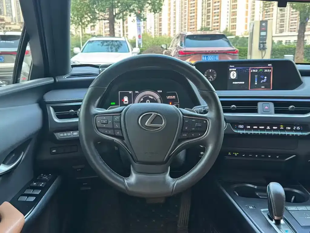 Lexus UX New Energy 2023 из CN, фото 3