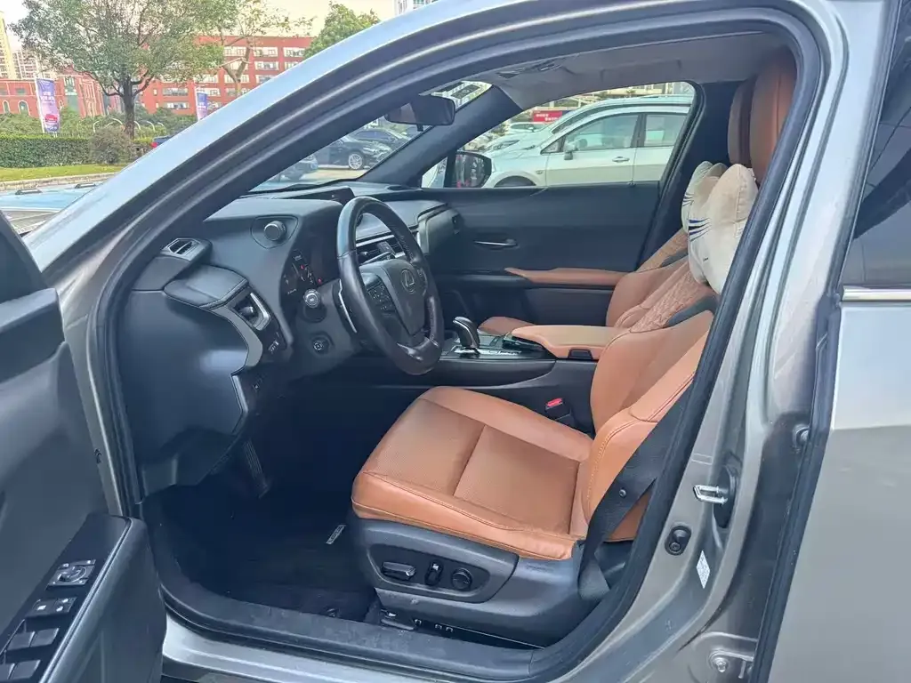 Lexus UX New Energy 2023 из CN, фото 6