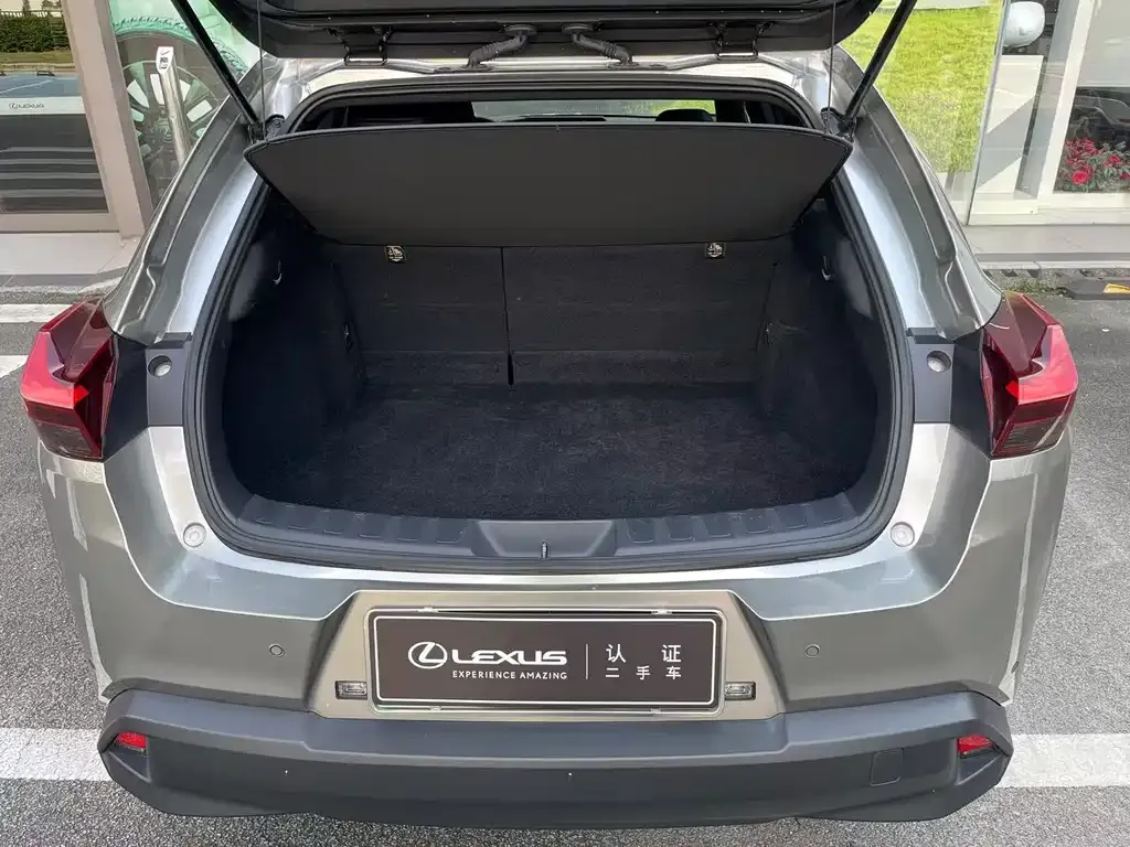 Lexus UX New Energy 2023 из CN, фото 4