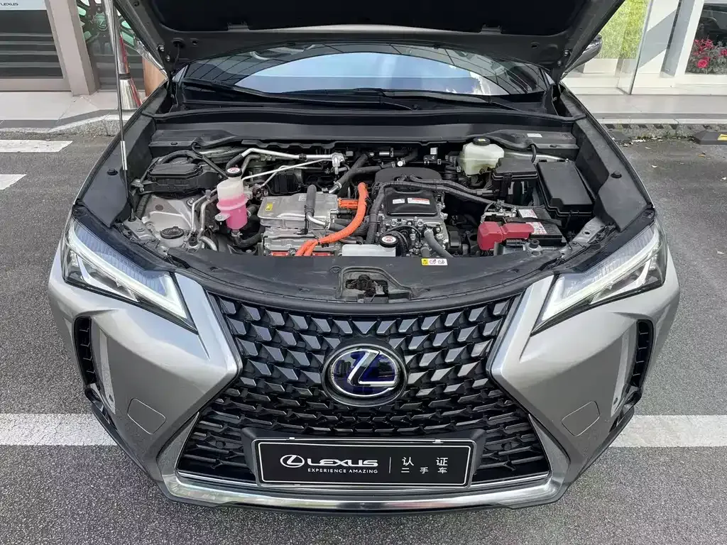 Lexus UX New Energy 2023 из CN, фото 10