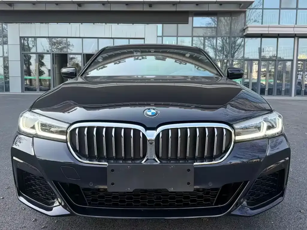 BMW 5 Series 2023 из CN, фото 6