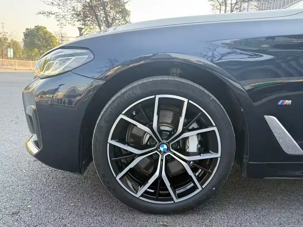 BMW 5 Series 2023 из CN, фото 8