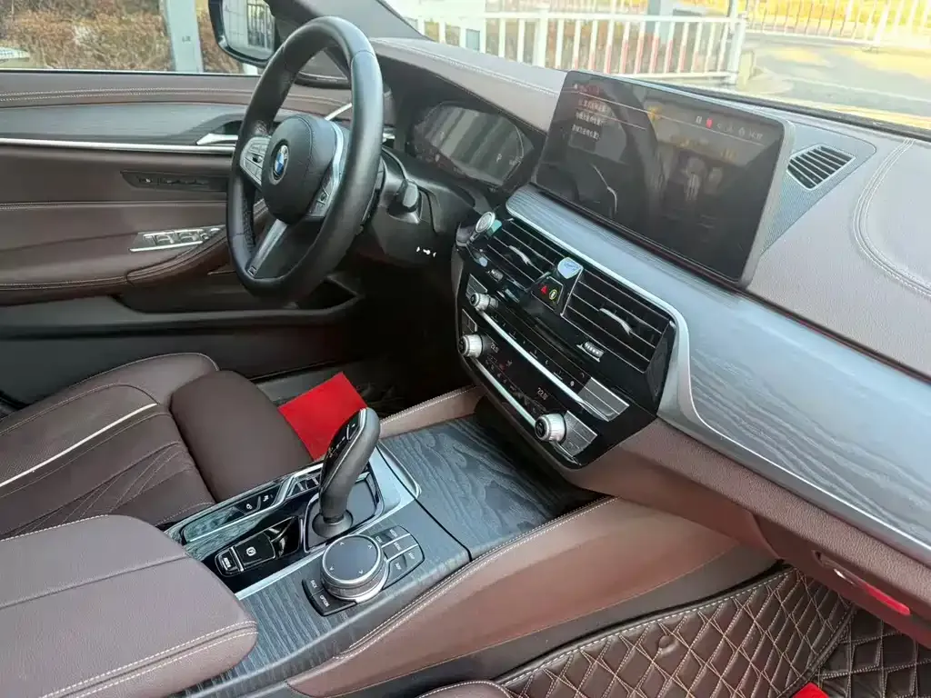 BMW 5 Series 2023 из CN, фото 4