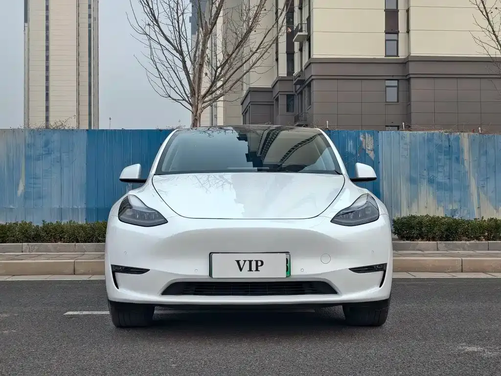 Tesla Model Y — фото 6