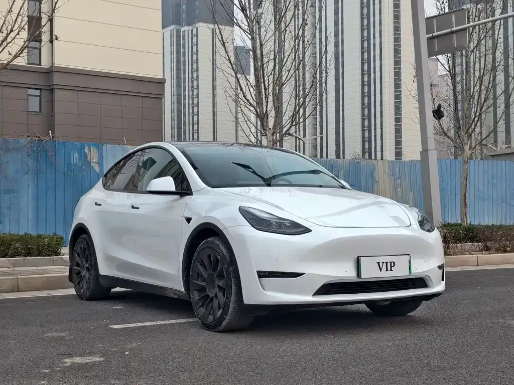 Tesla Model Y — фото 7