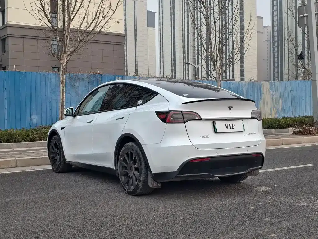 Tesla Model Y — фото 9