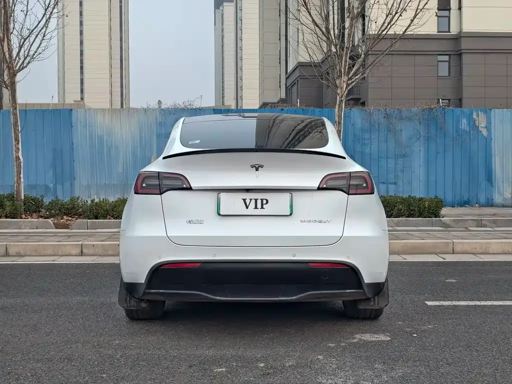 Tesla Model Y — фото 3