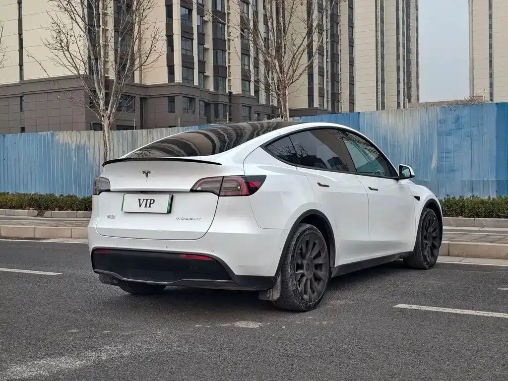 Tesla Model Y — фото 8