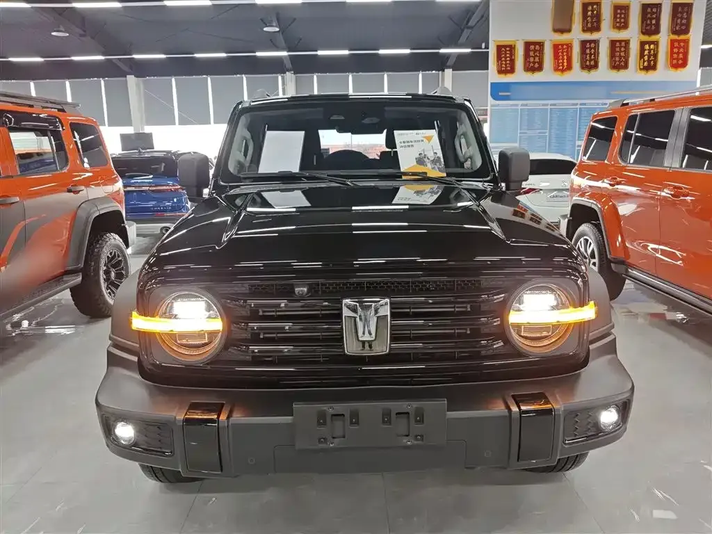 Tank 300 2024 из CN, фото 2