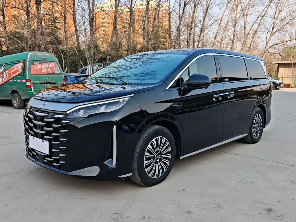 BYD Xia 2025 из CN, фото 1