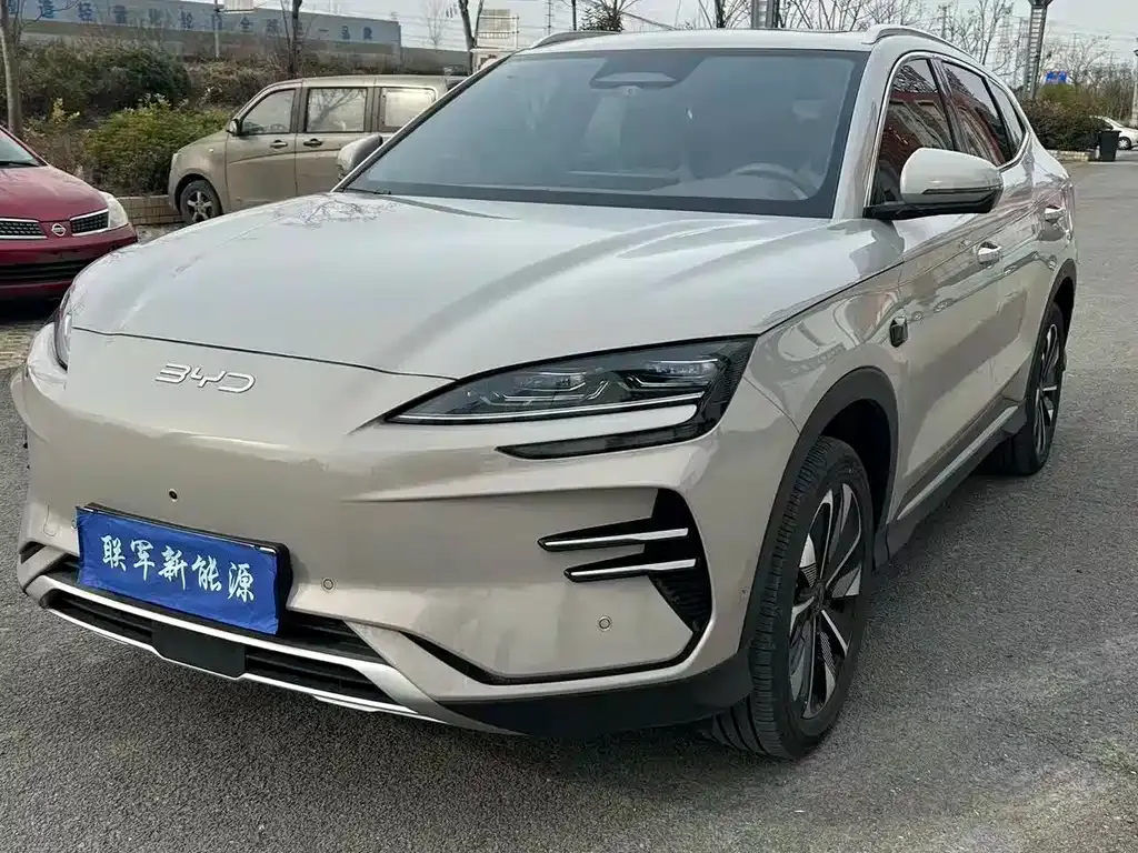 BYD PLUS New Energy — фото 1